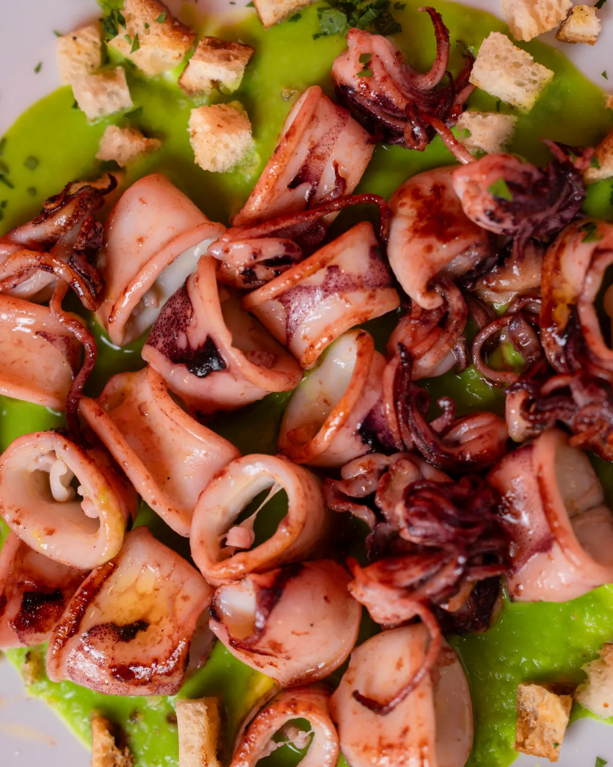 Calamaretti saltati in padella dettaglio