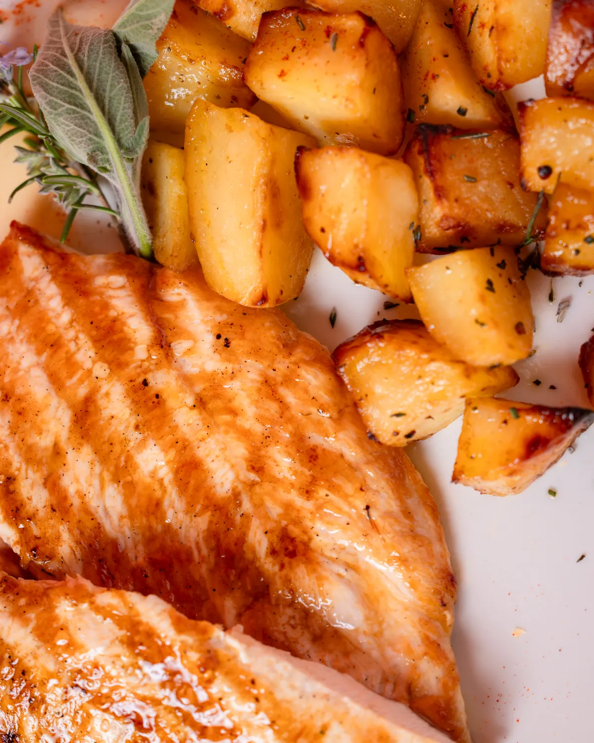 Petto di pollo dettaglio