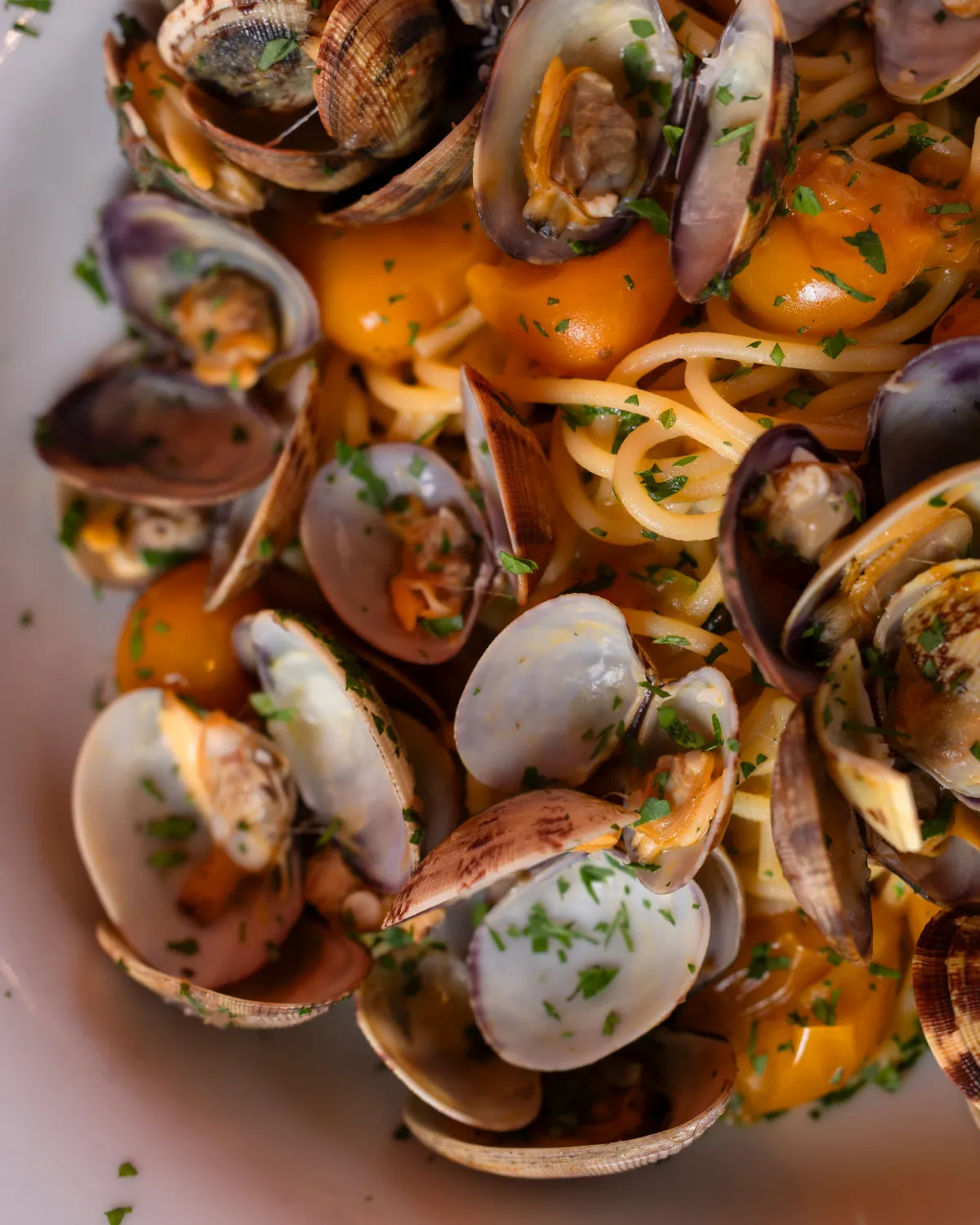 Spaghetti vongole dettaglio